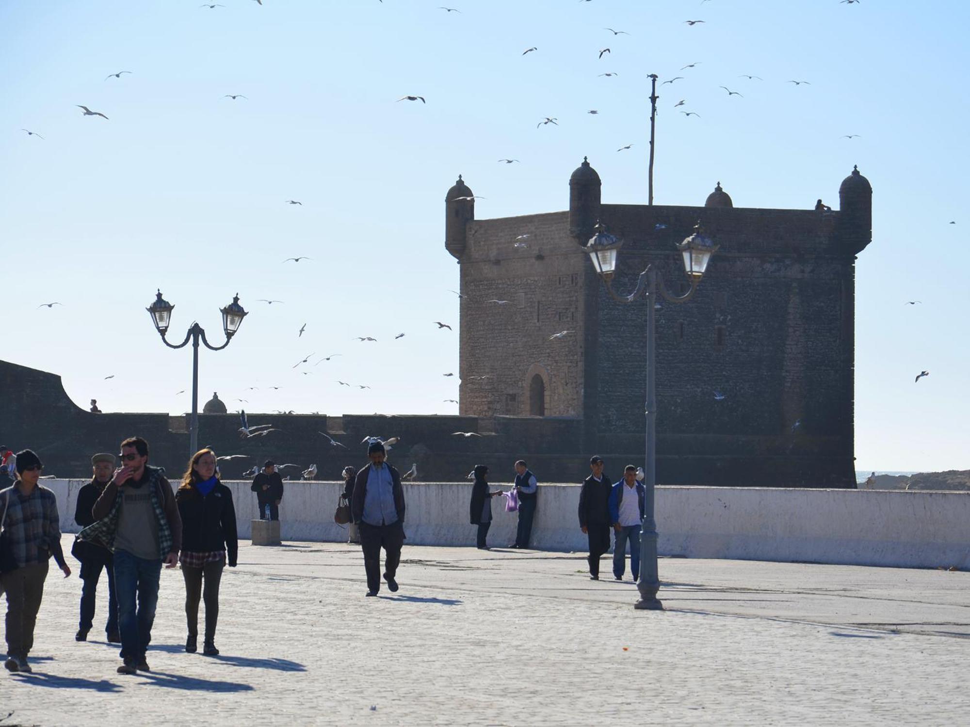 Tweets Hotel Essaouira Exteriör bild